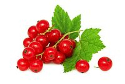 Produktfoto zu Johannisbeeren rot 250g