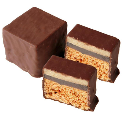 Produktfoto zu Dominostein groß 48g Bioback