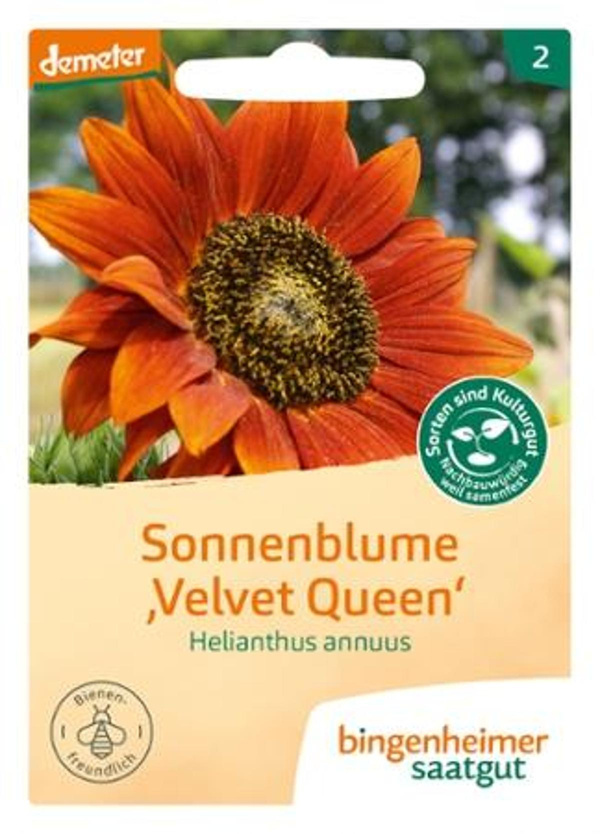 Produktfoto zu Sonnenblume "Velvet Queen" 5g Bingenheimer Saatgut