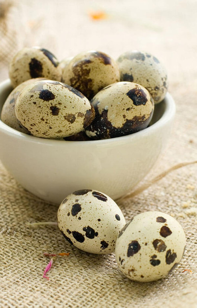 Produktfoto zu Wachteleier 10 Stück Bio Wachtelfarm