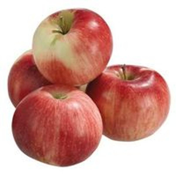 Produktfoto zu Apfel "Jonagored"