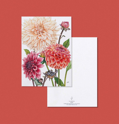 Produktfoto zu Postkarte "Dahlien" mit Umschlag Aikona Illustration