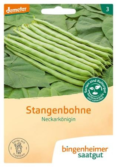 Produktfoto zu Saatgut Stangenbohne "Neckarkönigin" 20g Bingenheimer Saatgut