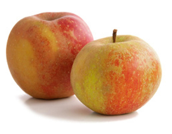 Produktfoto zu Apfel "Wellant"