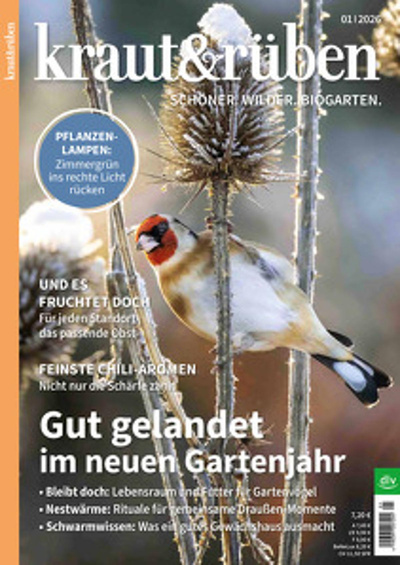 Produktfoto zu Kraut & Rüben Ausgabe 1-2026