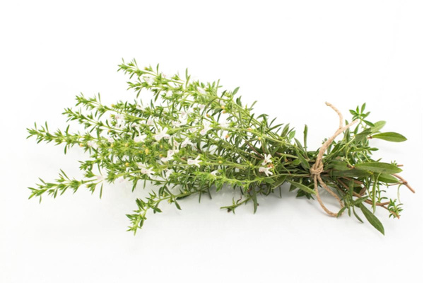 Produktfoto zu Bohnenkraut