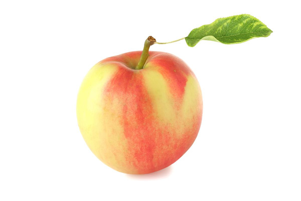 Produktfoto zu Frühapfel "Piros"