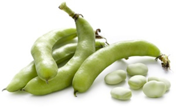 Produktfoto zu Dicke Bohnen